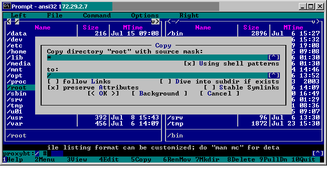 ANSI32 3.01 screenshot